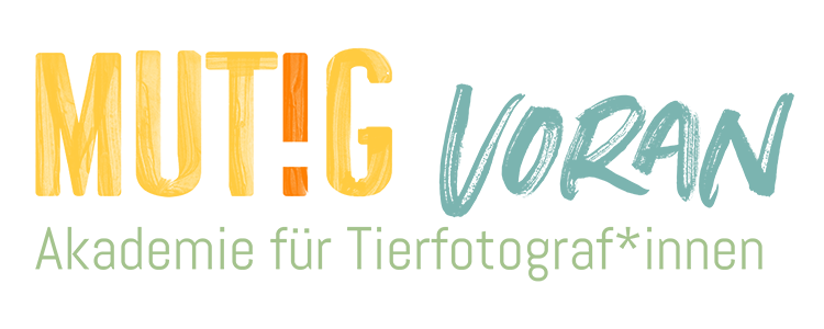 header_logo_mutig_voran-Kopie-1